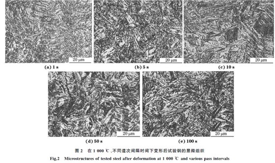 圖２ 在１０００ ℃、不同道次間隔時(shí)間下變形后試驗(yàn)鋼的顯微組織