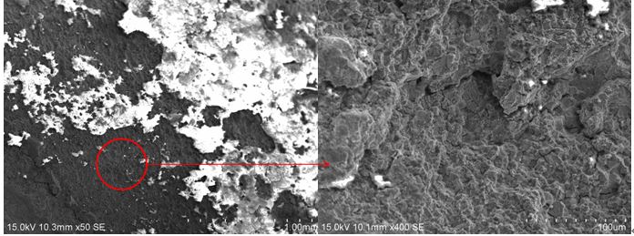 圖2 斷口源區(qū)宏、微觀形貌，沿晶特征+二次裂紋