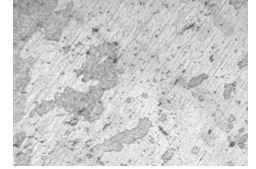 2A10合金螺栓淬火時效金相組織 400&times;