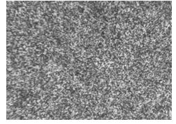 50CrVA原材料金相組織400&times;