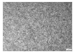 30CrMnSi自鎖螺母調(diào)質(zhì)金相組織 100&times;