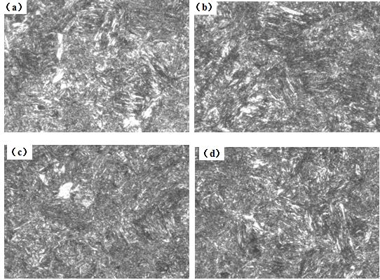 圖12-15 （a、b、c、d） 1～4號樣金相組織 500&times;