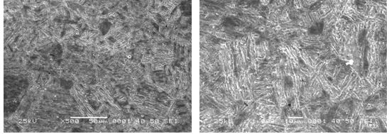 圖16-69 無(wú)裂紋件的組織形貌 500&times;圖16-70 無(wú)裂紋件的組織形貌 1000&times;