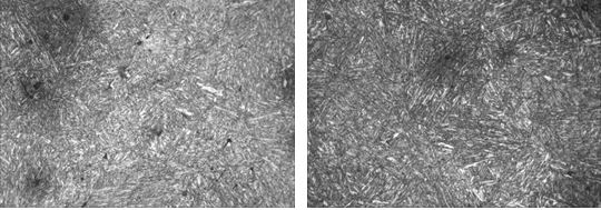圖13-120 心部金相組織 100&times; 圖13-121 邊緣金相組織 100&times;