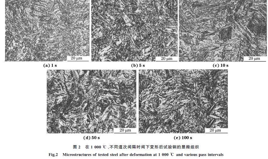 圖２ 在１０００ ℃、不同道次間隔時(shí)間下變形后試驗(yàn)鋼的顯微組織