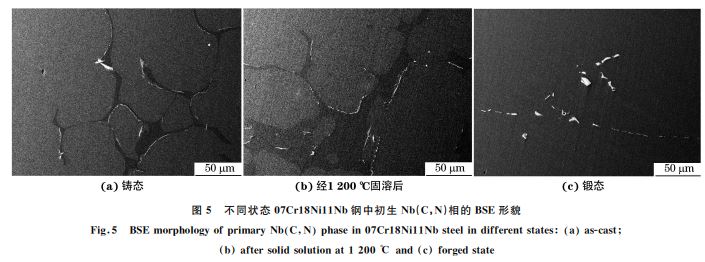 圖5 不同狀態(tài)07Cr18Ni11Nb鋼中初生 Nb(C，N)相的 BSE形貌