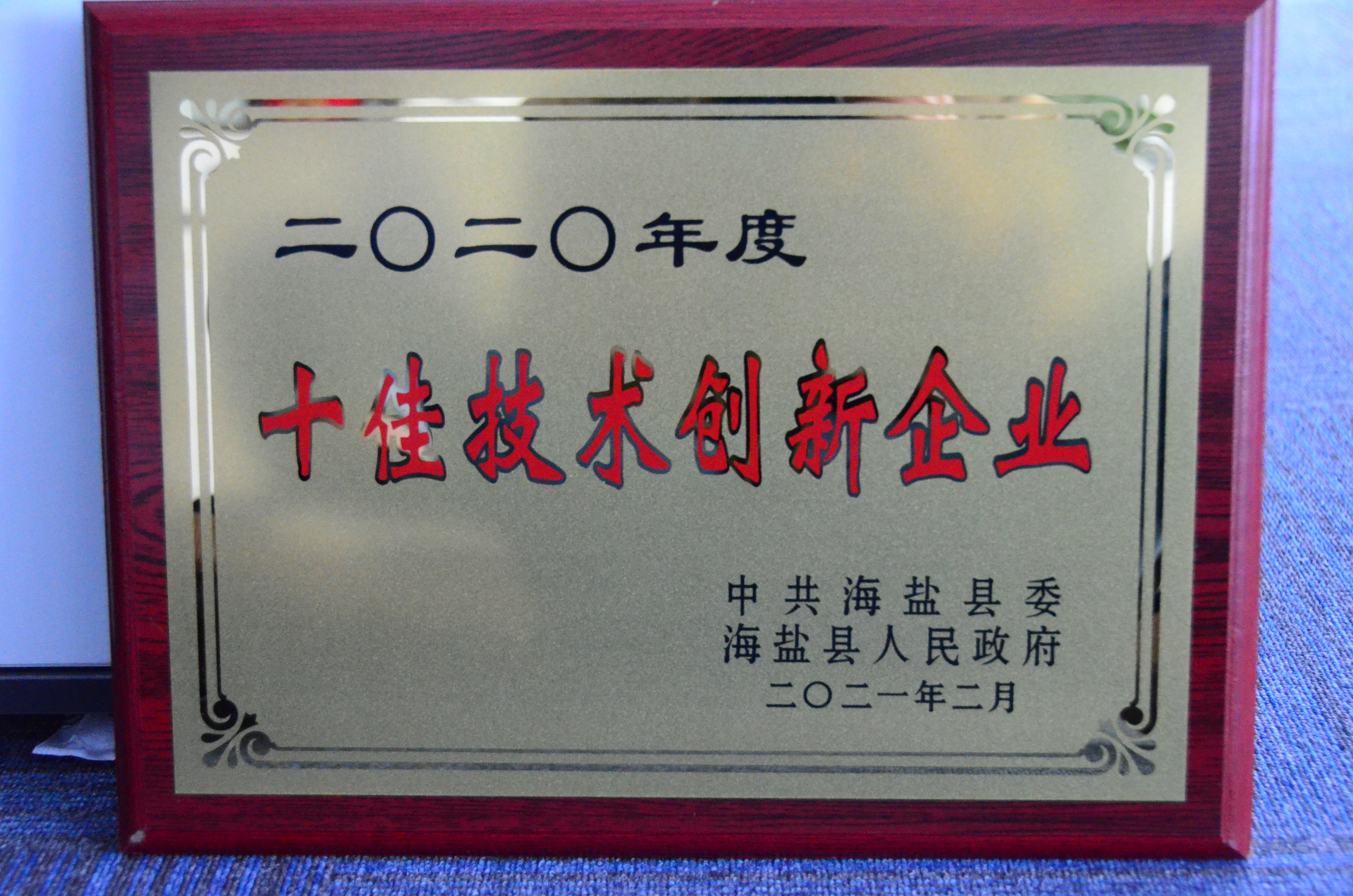 縣級(jí)十佳技術(shù)創(chuàng)新企業(yè) 縣級(jí)十佳技術(shù)創(chuàng)新企業(yè)